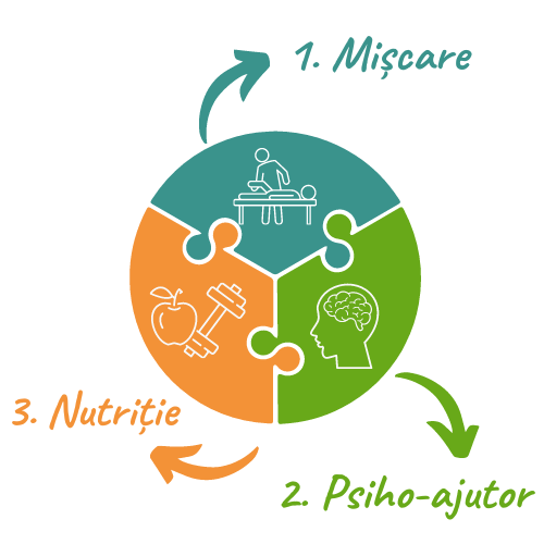 Synergia puzzle (2)
